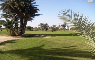 Golf Palm Links